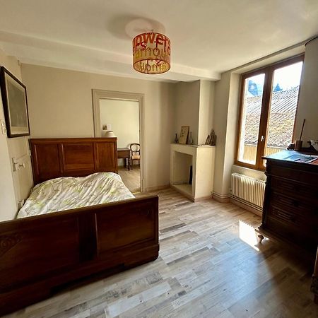 100Metres Du Chateau Au 116 Rue De La Republique Vizille Kültér fotó